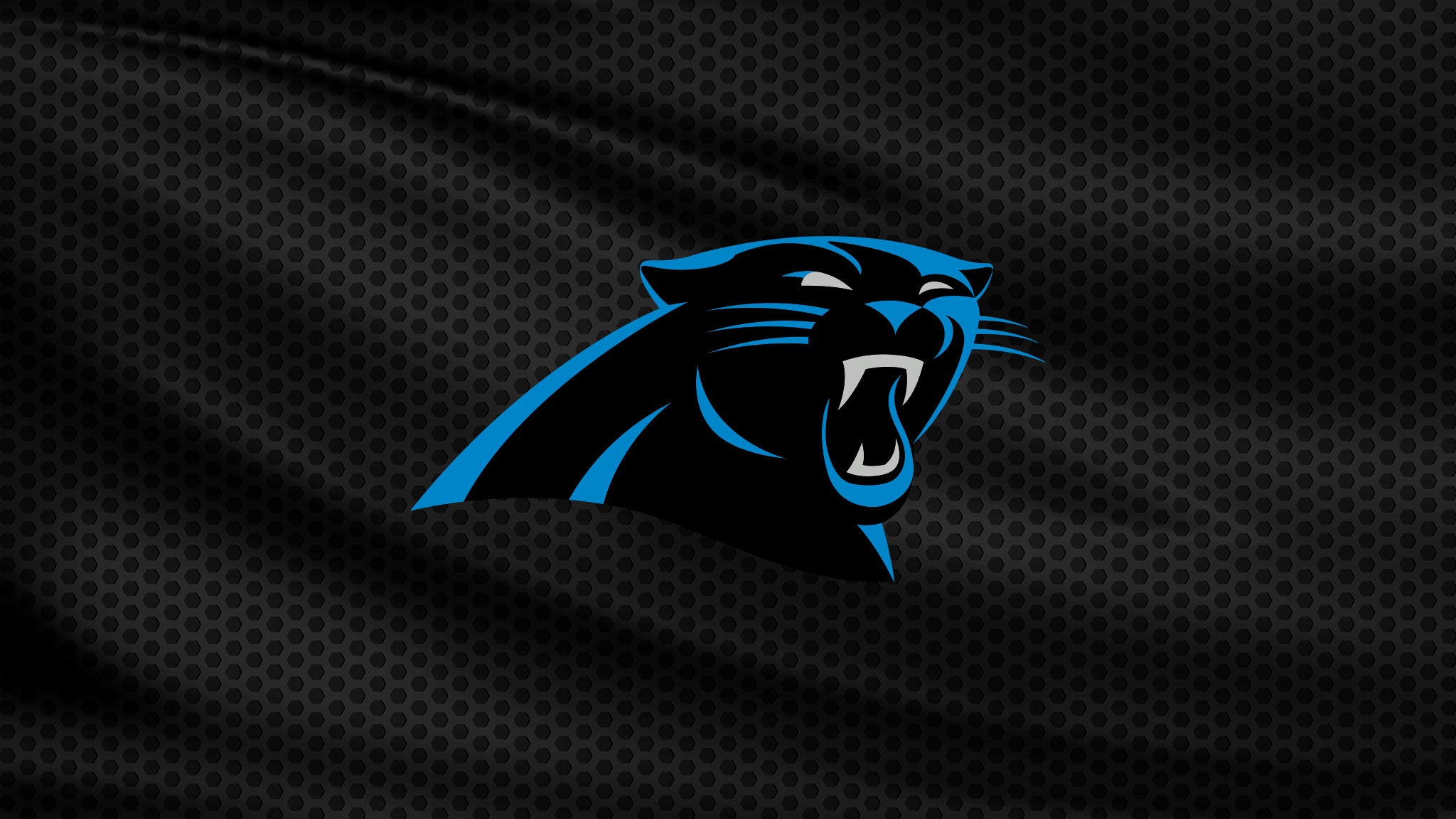 Carolina Panthers performer