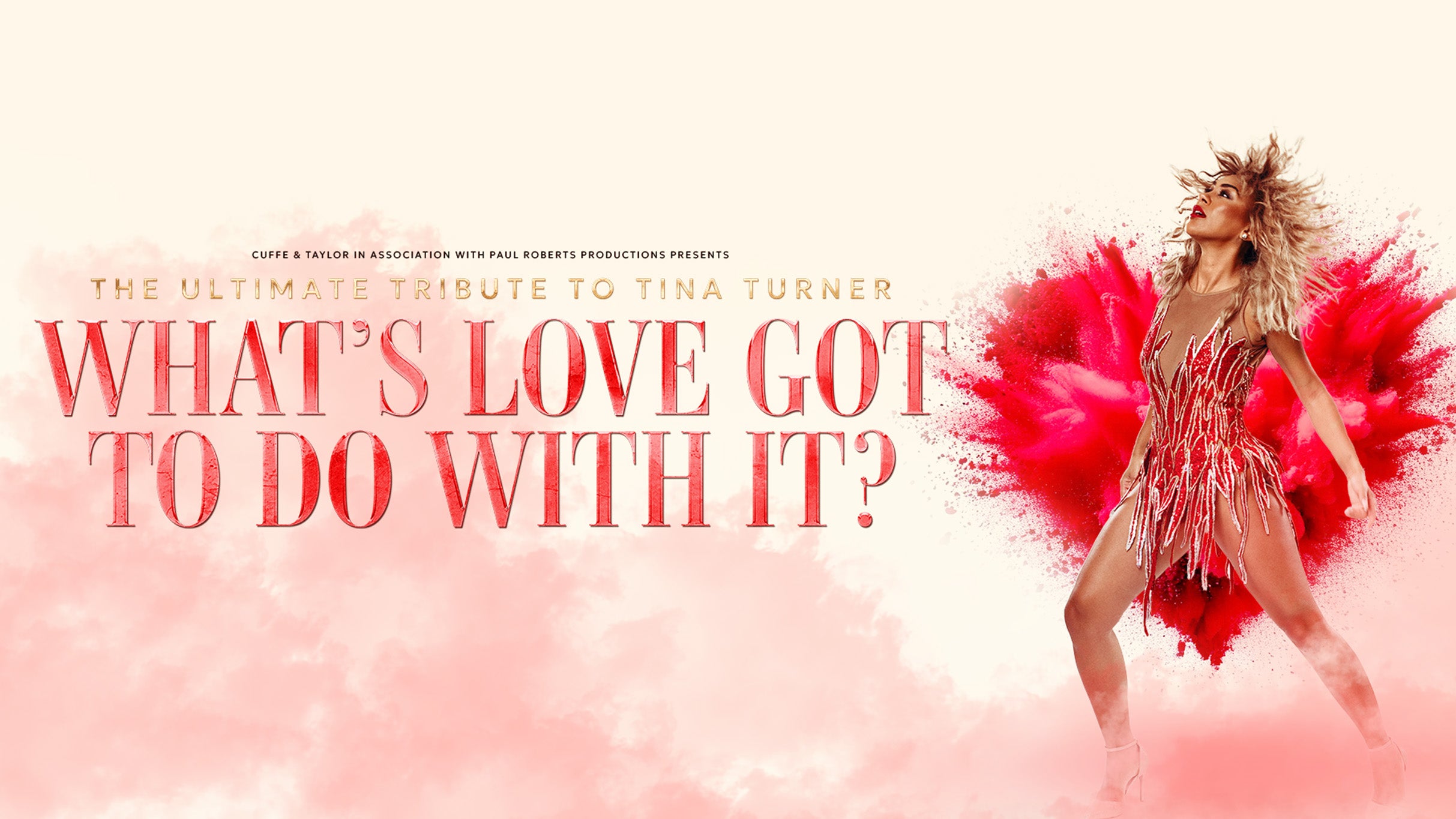 What's Love Got To Do With It - A Tribute to Tina Turner